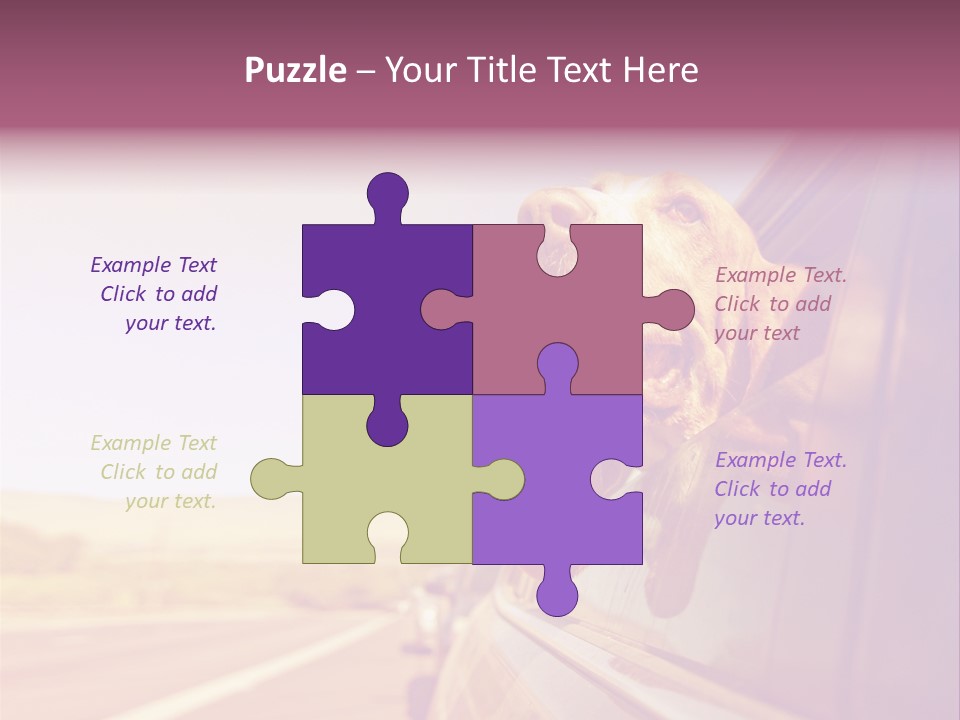 A Dog Sticking Its Head Out Of A Car Window PowerPoint Template