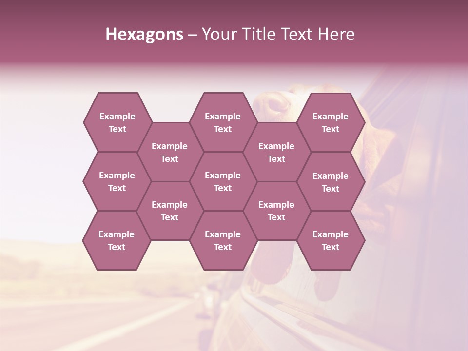 A Dog Sticking Its Head Out Of A Car Window PowerPoint Template