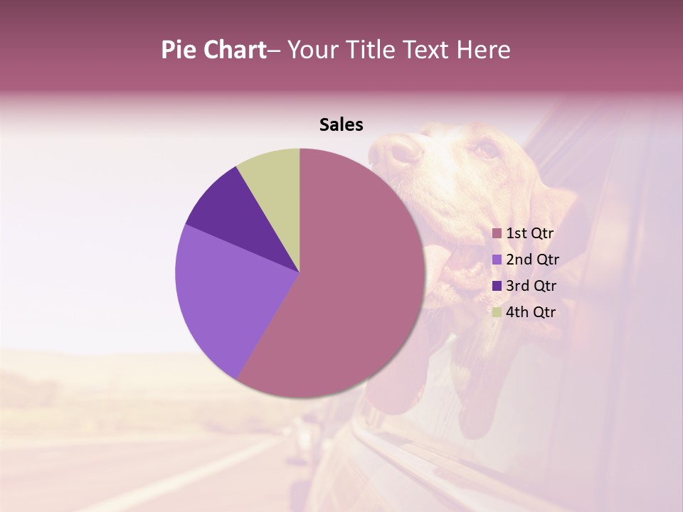 A Dog Sticking Its Head Out Of A Car Window PowerPoint Template