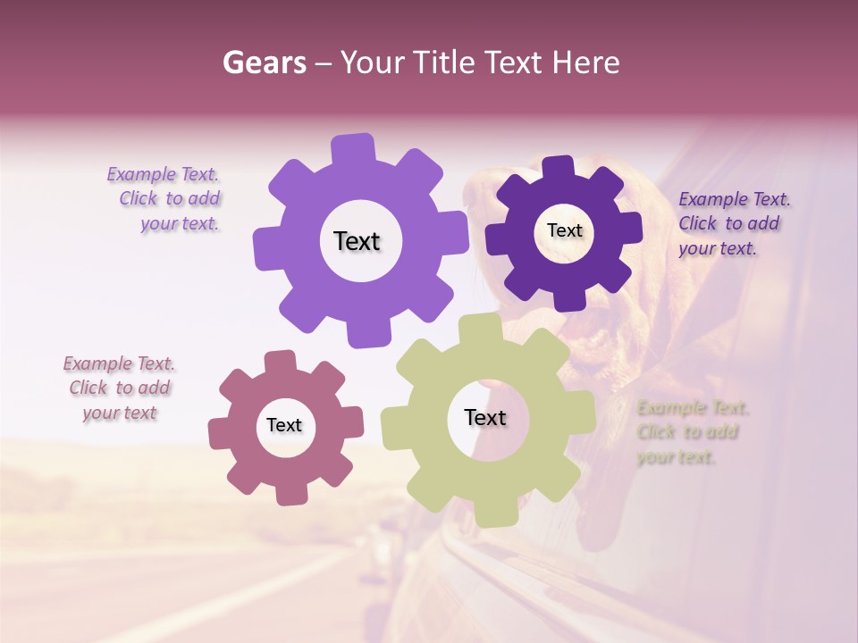 A Dog Sticking Its Head Out Of A Car Window PowerPoint Template