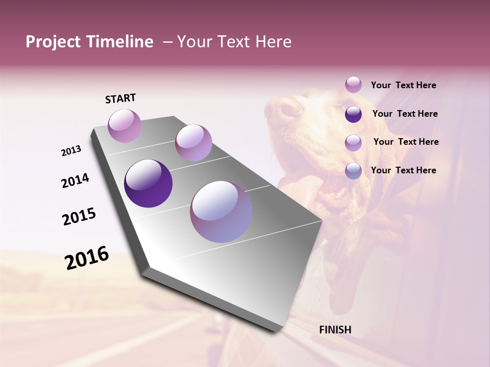 A Dog Sticking Its Head Out Of A Car Window PowerPoint Template