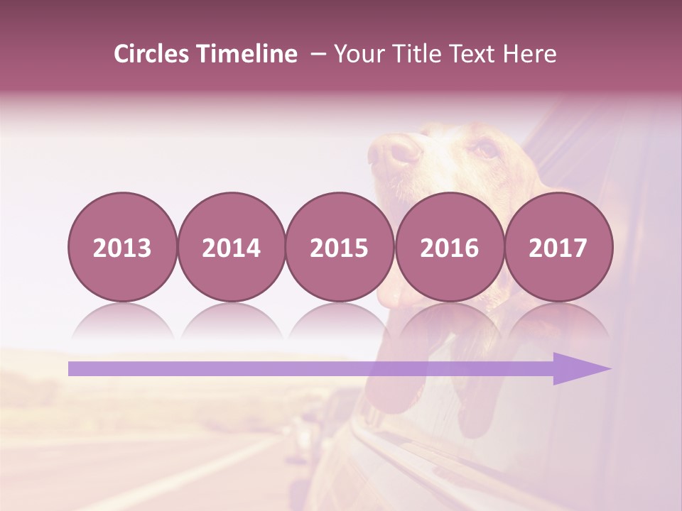 A Dog Sticking Its Head Out Of A Car Window PowerPoint Template