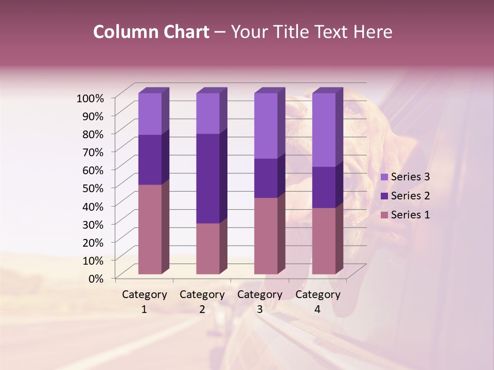 A Dog Sticking Its Head Out Of A Car Window PowerPoint Template