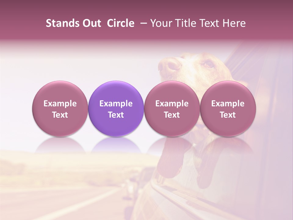 A Dog Sticking Its Head Out Of A Car Window PowerPoint Template