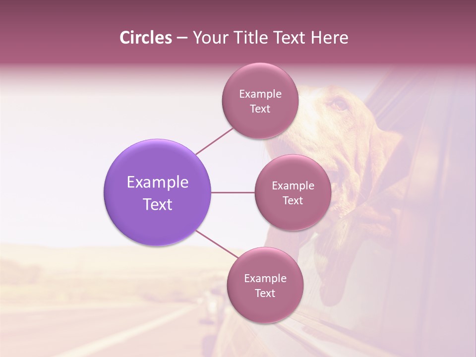 A Dog Sticking Its Head Out Of A Car Window PowerPoint Template