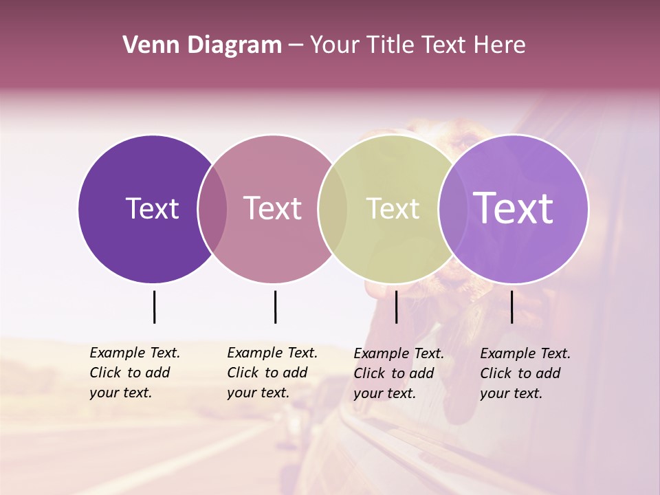 A Dog Sticking Its Head Out Of A Car Window PowerPoint Template