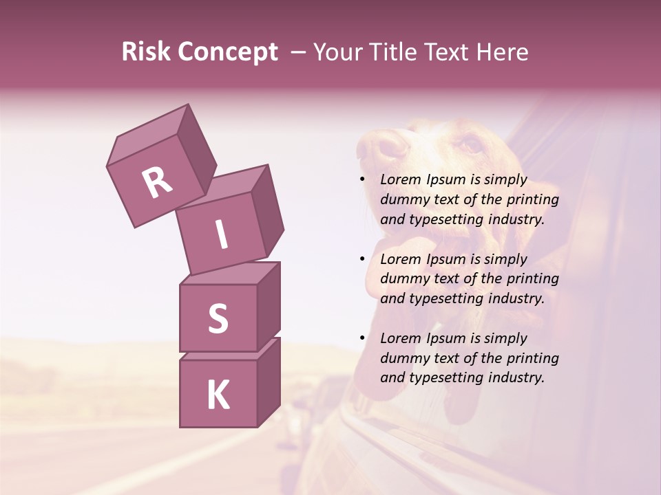 A Dog Sticking Its Head Out Of A Car Window PowerPoint Template