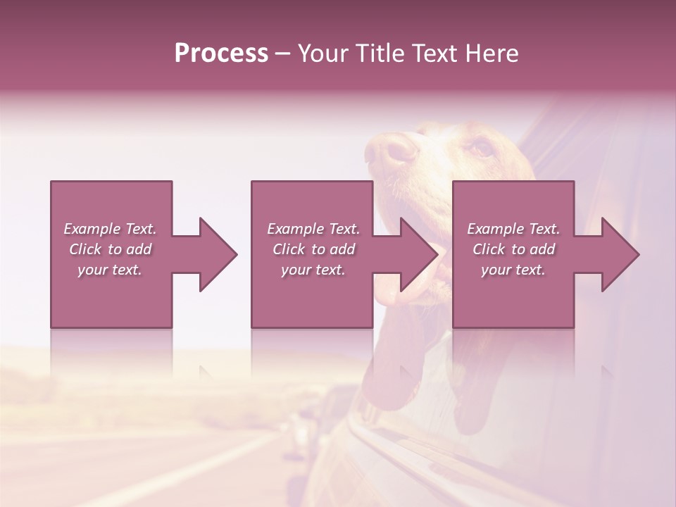 A Dog Sticking Its Head Out Of A Car Window PowerPoint Template