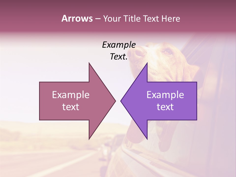 A Dog Sticking Its Head Out Of A Car Window PowerPoint Template