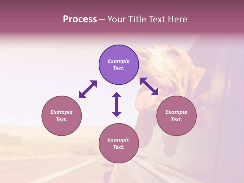 A Dog Sticking Its Head Out Of A Car Window PowerPoint Template