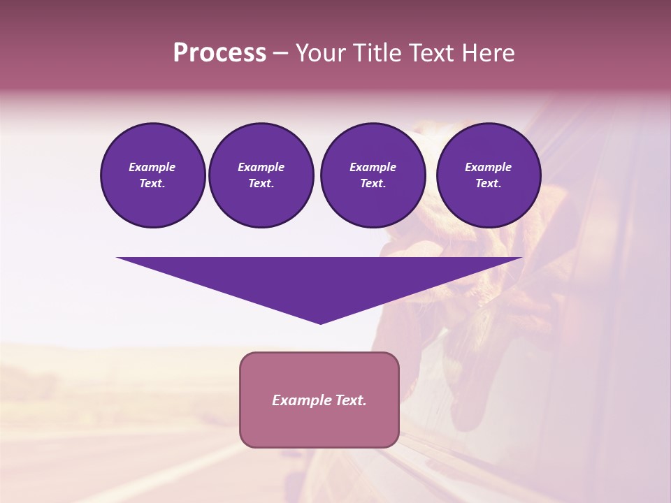 A Dog Sticking Its Head Out Of A Car Window PowerPoint Template