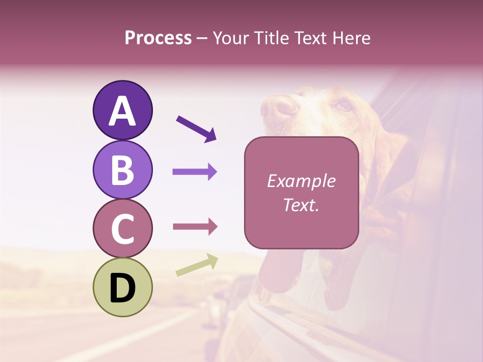 A Dog Sticking Its Head Out Of A Car Window PowerPoint Template