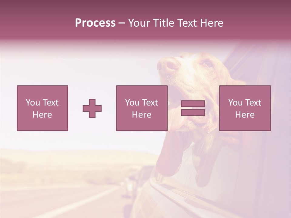 A Dog Sticking Its Head Out Of A Car Window PowerPoint Template