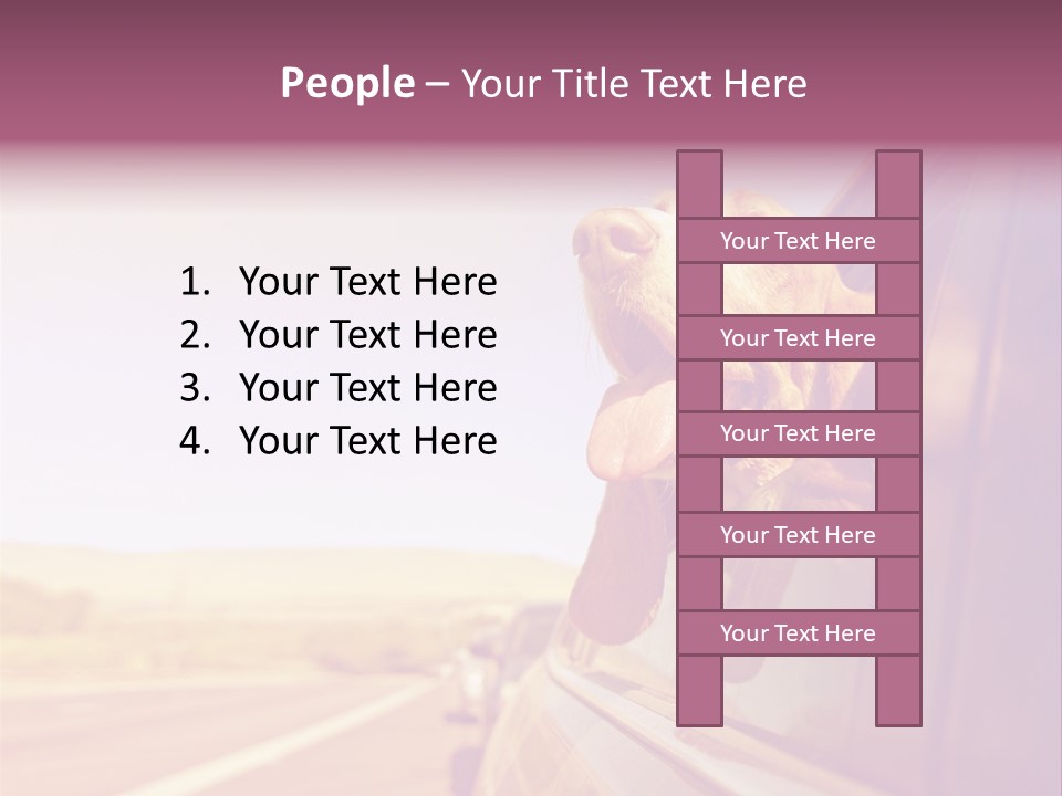 A Dog Sticking Its Head Out Of A Car Window PowerPoint Template