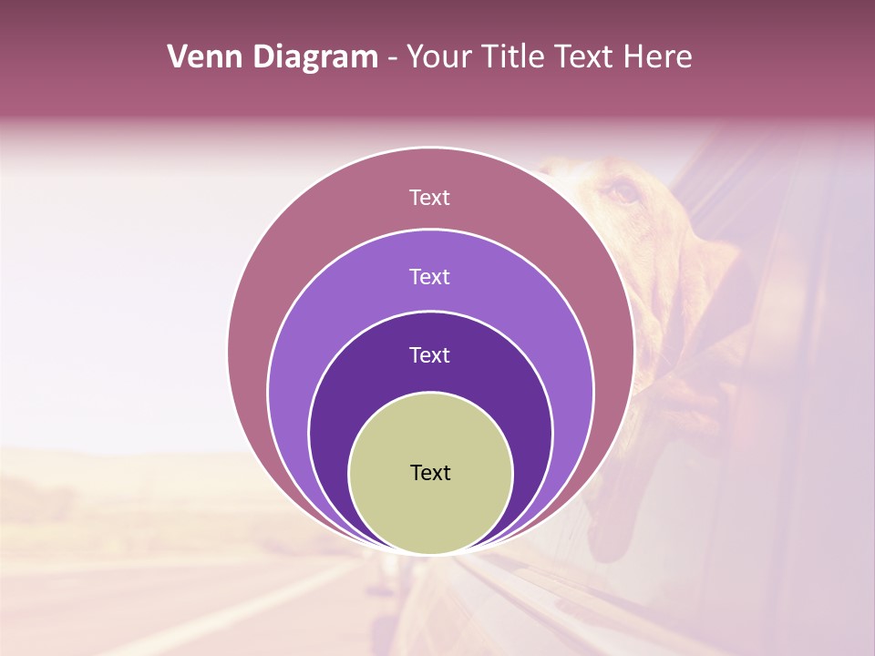 A Dog Sticking Its Head Out Of A Car Window PowerPoint Template