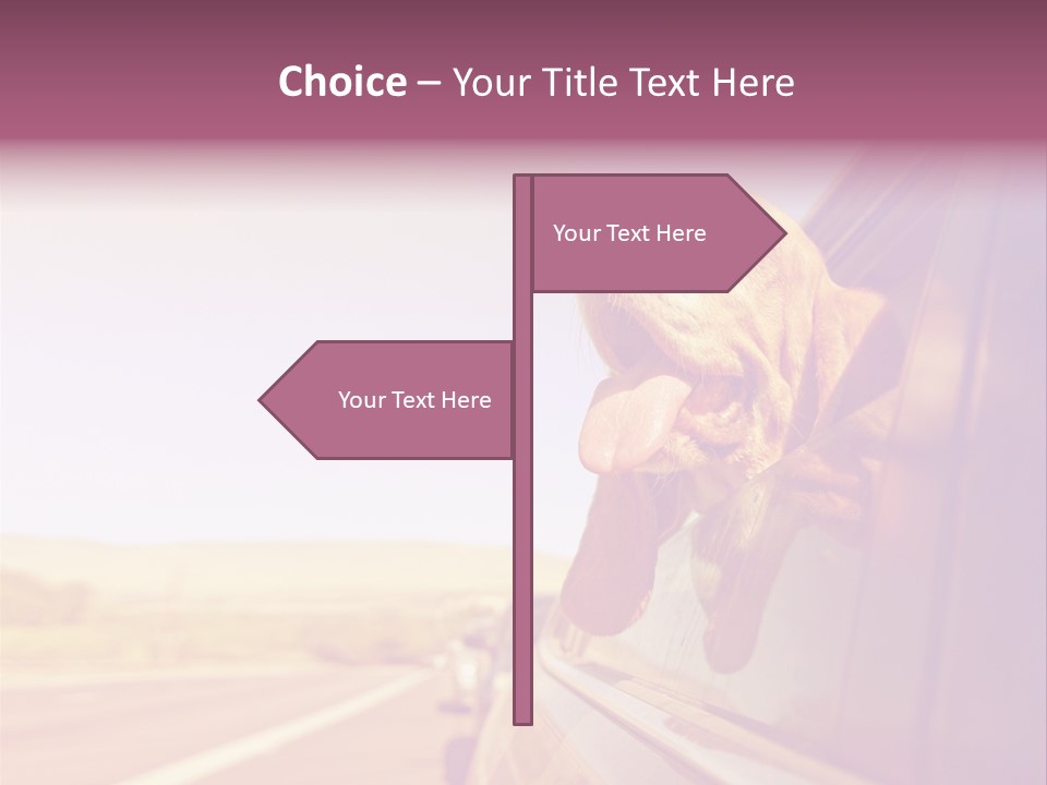 A Dog Sticking Its Head Out Of A Car Window PowerPoint Template
