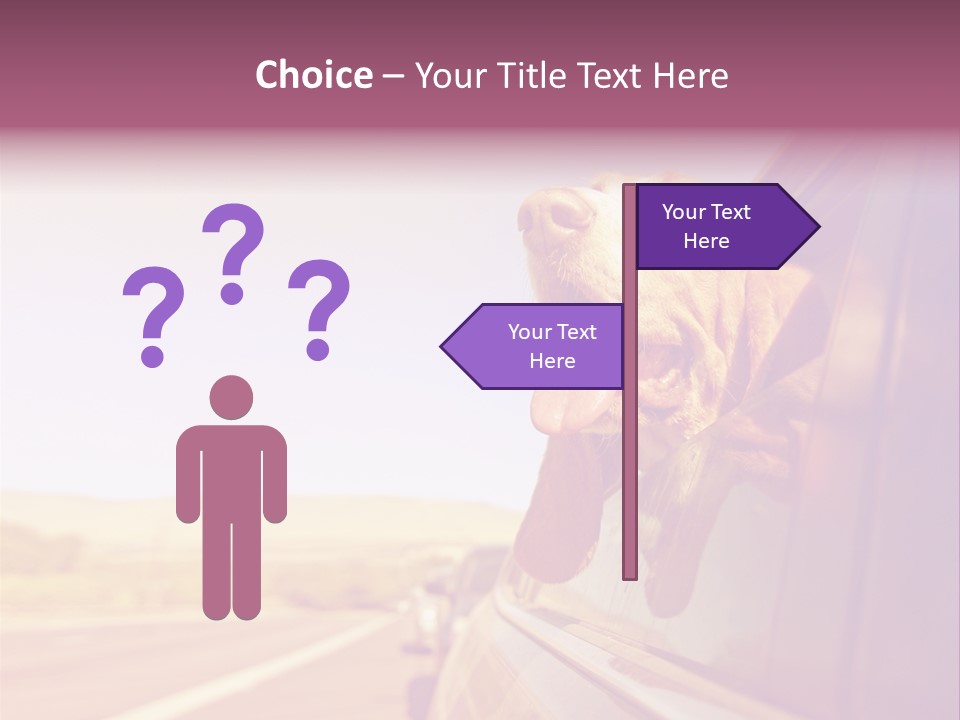 A Dog Sticking Its Head Out Of A Car Window PowerPoint Template