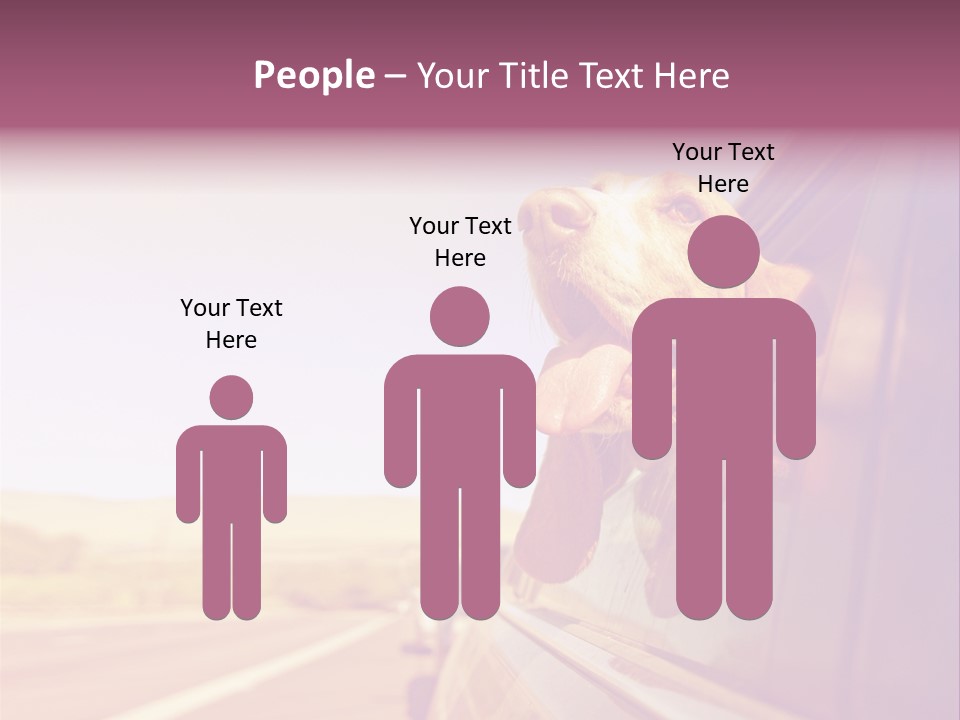 A Dog Sticking Its Head Out Of A Car Window PowerPoint Template