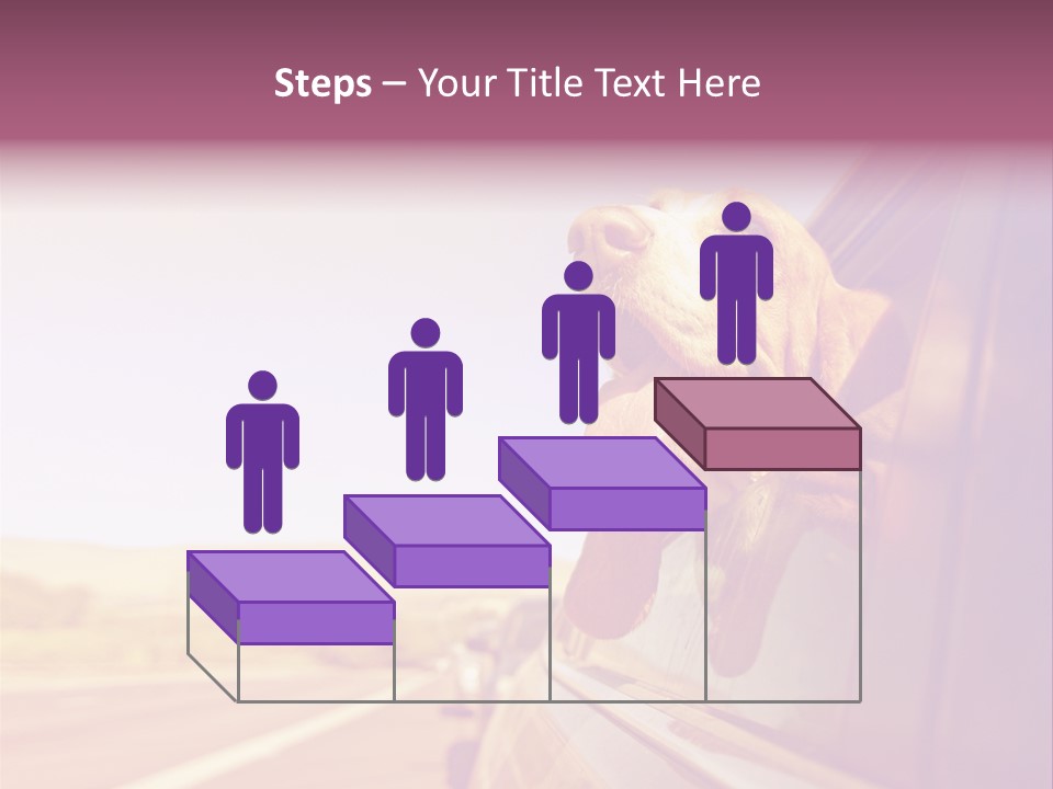 A Dog Sticking Its Head Out Of A Car Window PowerPoint Template