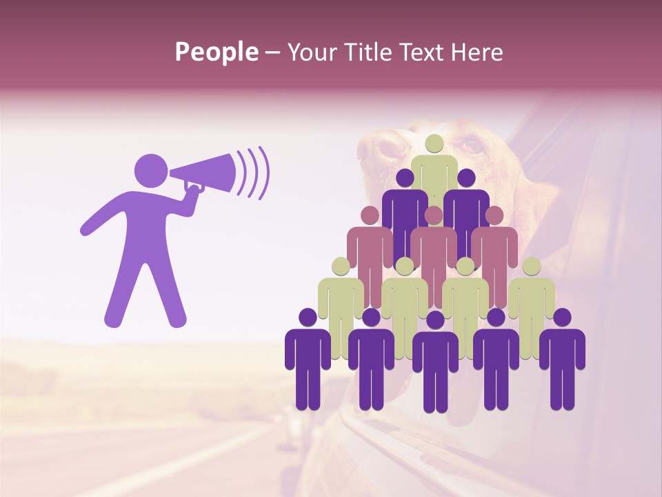 A Dog Sticking Its Head Out Of A Car Window PowerPoint Template