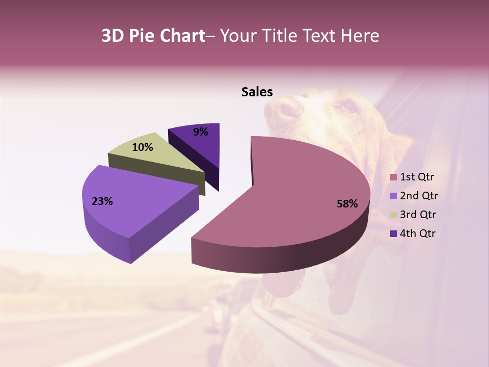 A Dog Sticking Its Head Out Of A Car Window PowerPoint Template