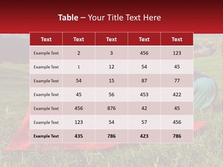 A Woman Sitting On Top Of A Blanket On Top Of A Lush Green Field PowerPoint Template