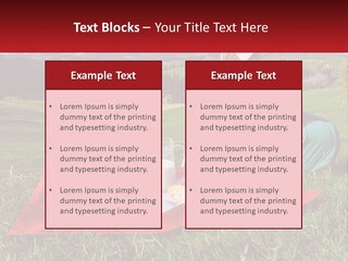 A Woman Sitting On Top Of A Blanket On Top Of A Lush Green Field PowerPoint Template