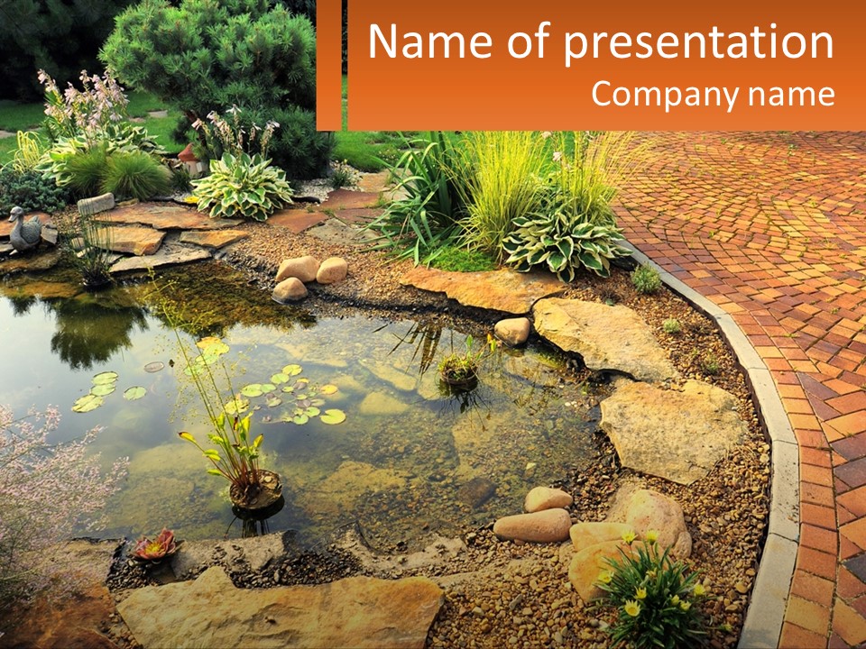 A Small Pond Surrounded By Rocks And Plants PowerPoint Template