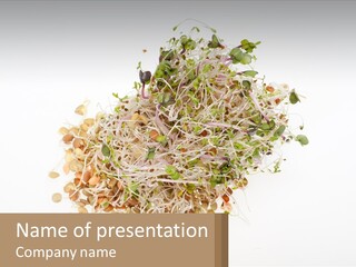 A Pile Of Alfalfa Sprouts On A White Background PowerPoint Template
