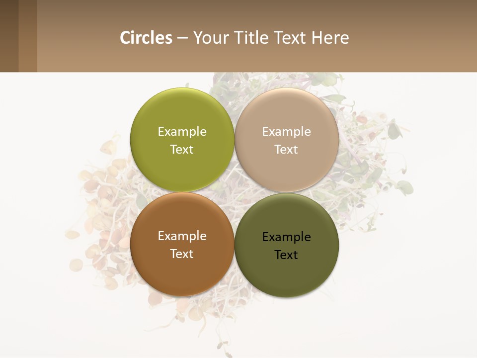 A Pile Of Alfalfa Sprouts On A White Background PowerPoint Template