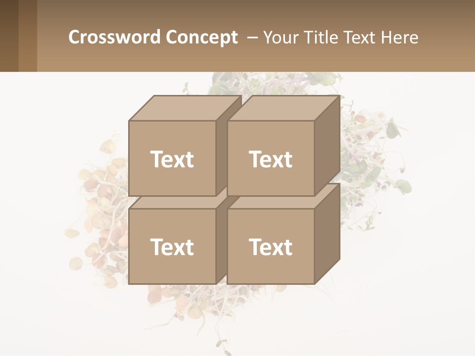 A Pile Of Alfalfa Sprouts On A White Background PowerPoint Template