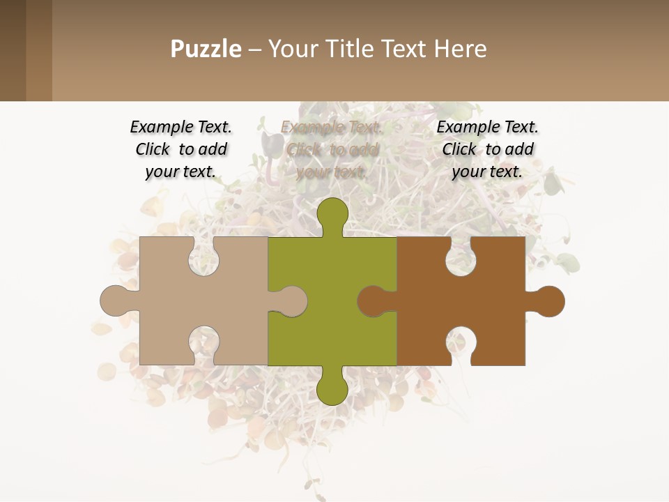 A Pile Of Alfalfa Sprouts On A White Background PowerPoint Template