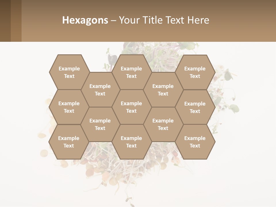 A Pile Of Alfalfa Sprouts On A White Background PowerPoint Template