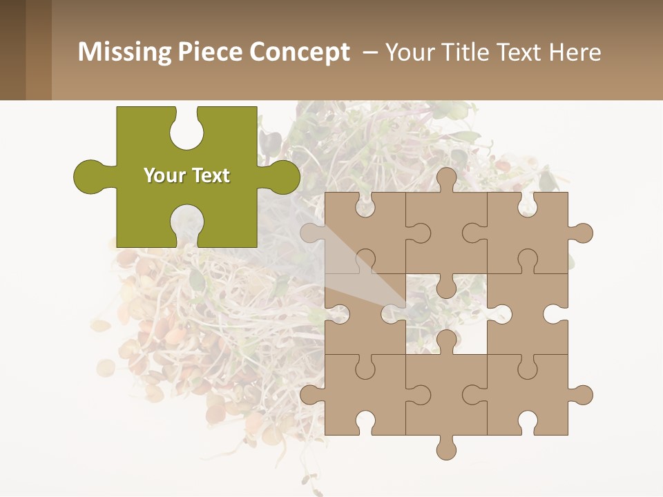 A Pile Of Alfalfa Sprouts On A White Background PowerPoint Template