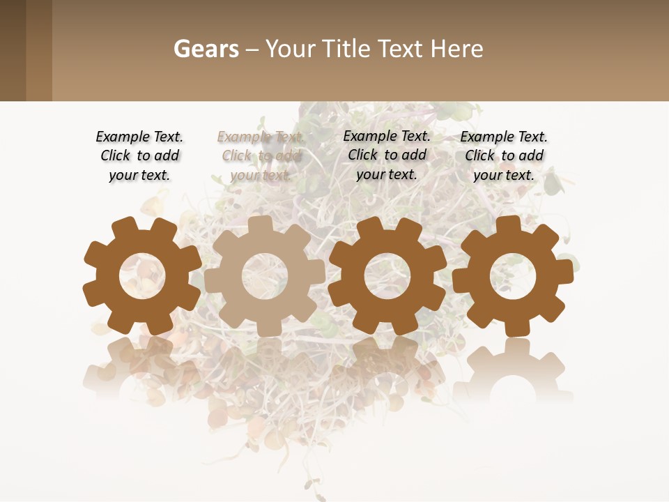 A Pile Of Alfalfa Sprouts On A White Background PowerPoint Template