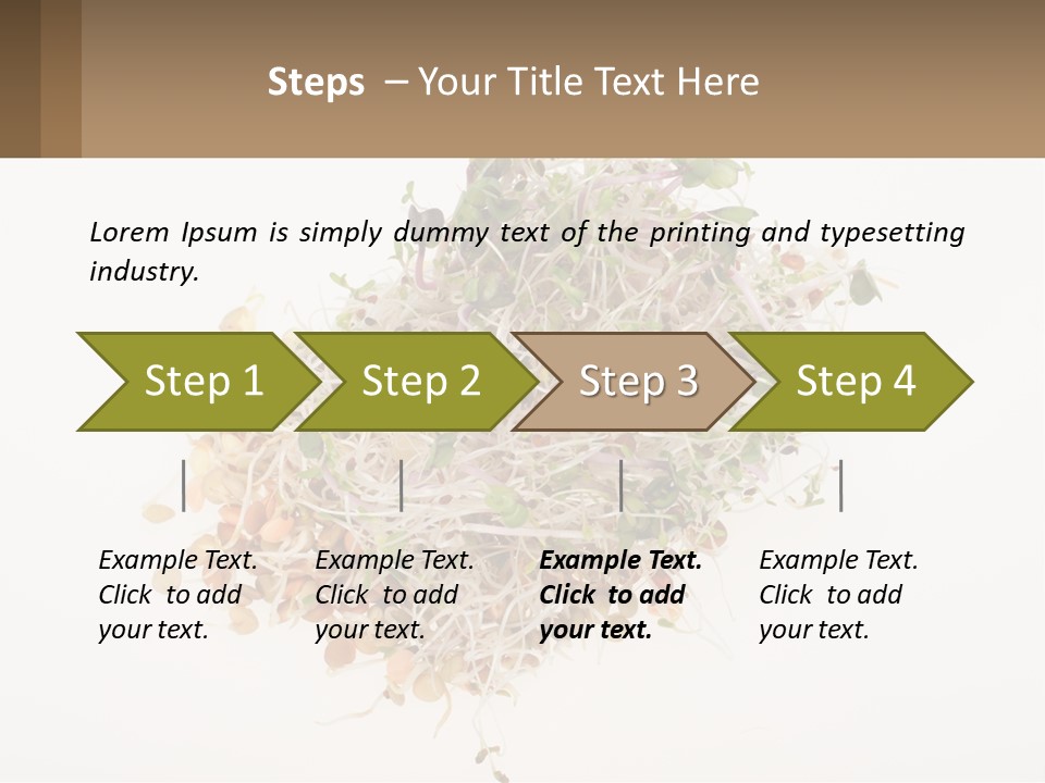 A Pile Of Alfalfa Sprouts On A White Background PowerPoint Template