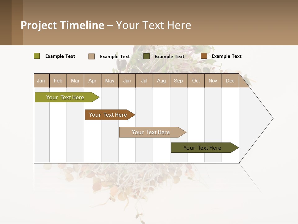 A Pile Of Alfalfa Sprouts On A White Background PowerPoint Template