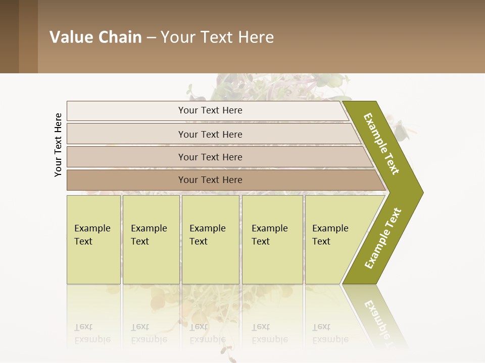 A Pile Of Alfalfa Sprouts On A White Background PowerPoint Template