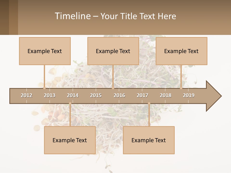 A Pile Of Alfalfa Sprouts On A White Background PowerPoint Template