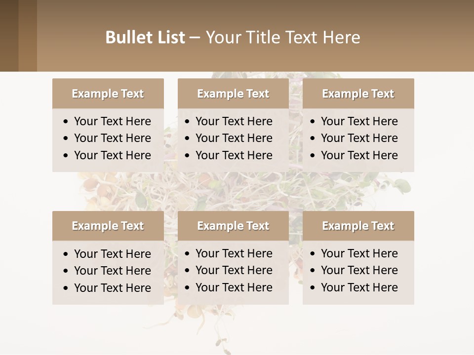 A Pile Of Alfalfa Sprouts On A White Background PowerPoint Template