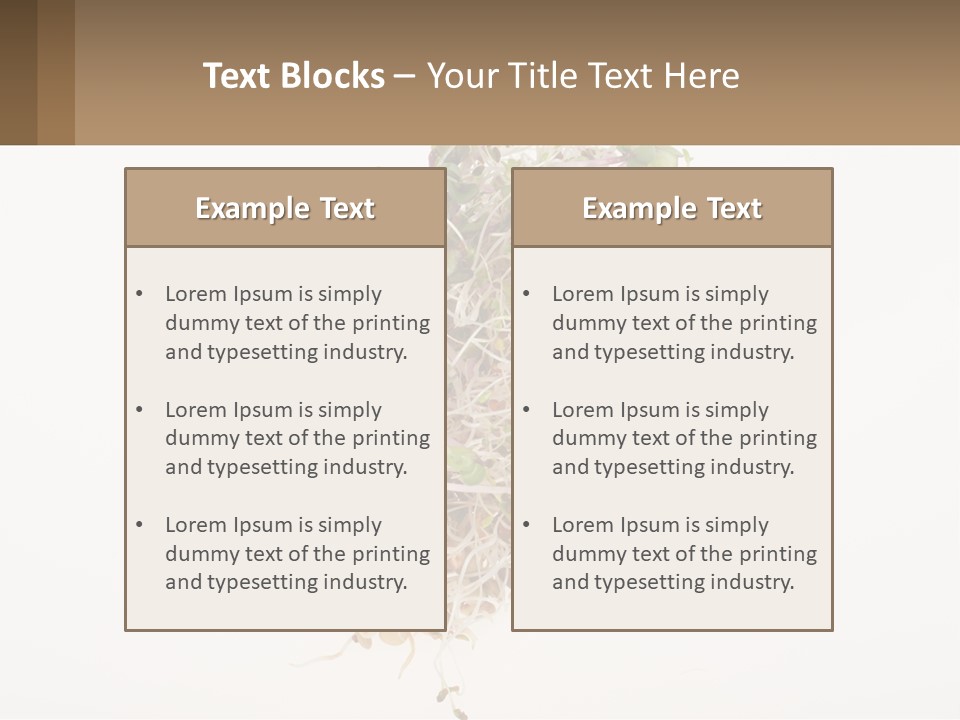 A Pile Of Alfalfa Sprouts On A White Background PowerPoint Template