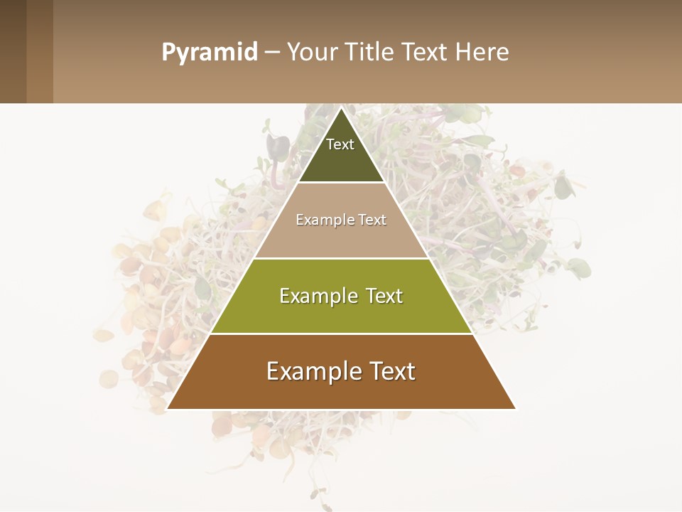 A Pile Of Alfalfa Sprouts On A White Background PowerPoint Template