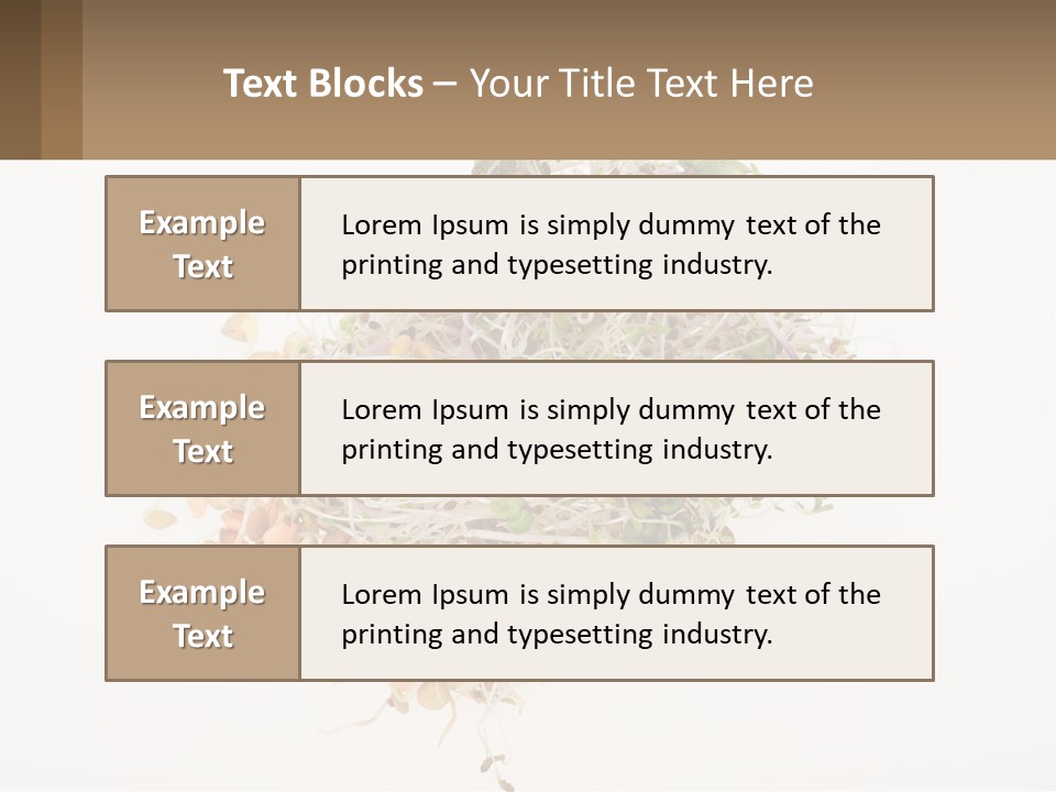 A Pile Of Alfalfa Sprouts On A White Background PowerPoint Template