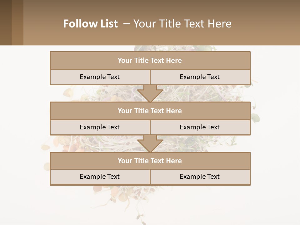 A Pile Of Alfalfa Sprouts On A White Background PowerPoint Template