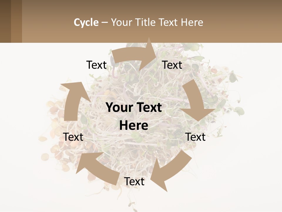 A Pile Of Alfalfa Sprouts On A White Background PowerPoint Template