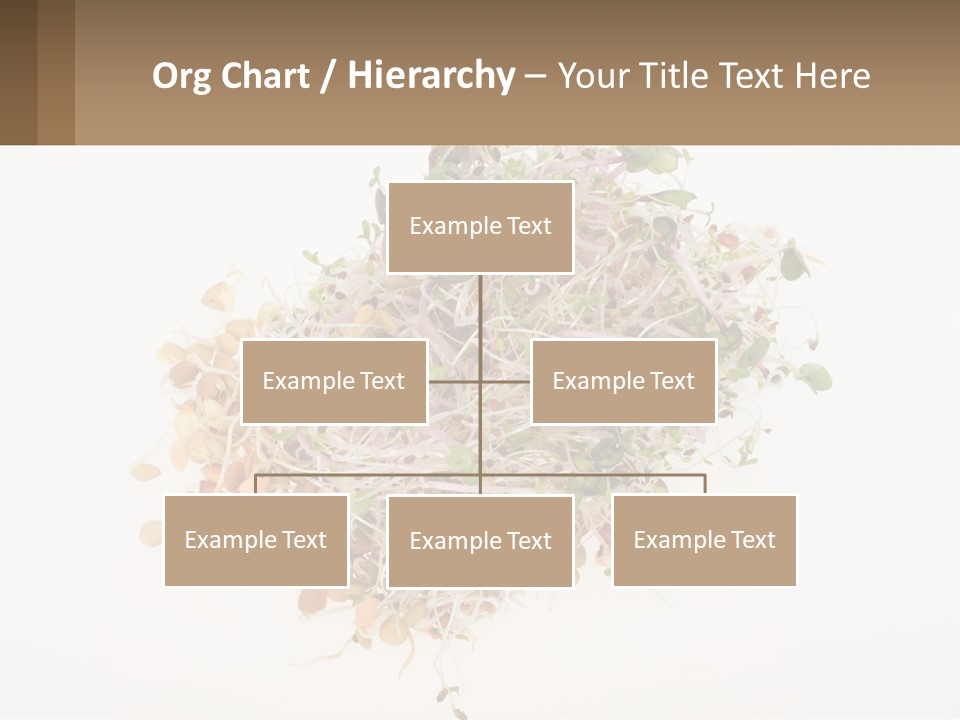 A Pile Of Alfalfa Sprouts On A White Background PowerPoint Template