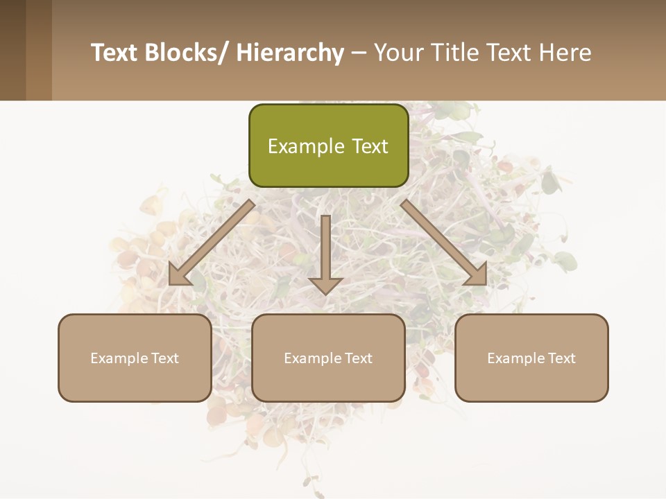 A Pile Of Alfalfa Sprouts On A White Background PowerPoint Template