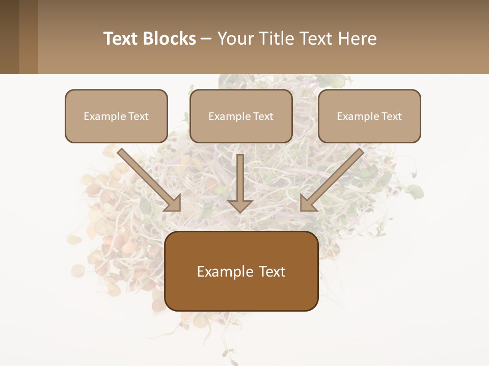A Pile Of Alfalfa Sprouts On A White Background PowerPoint Template