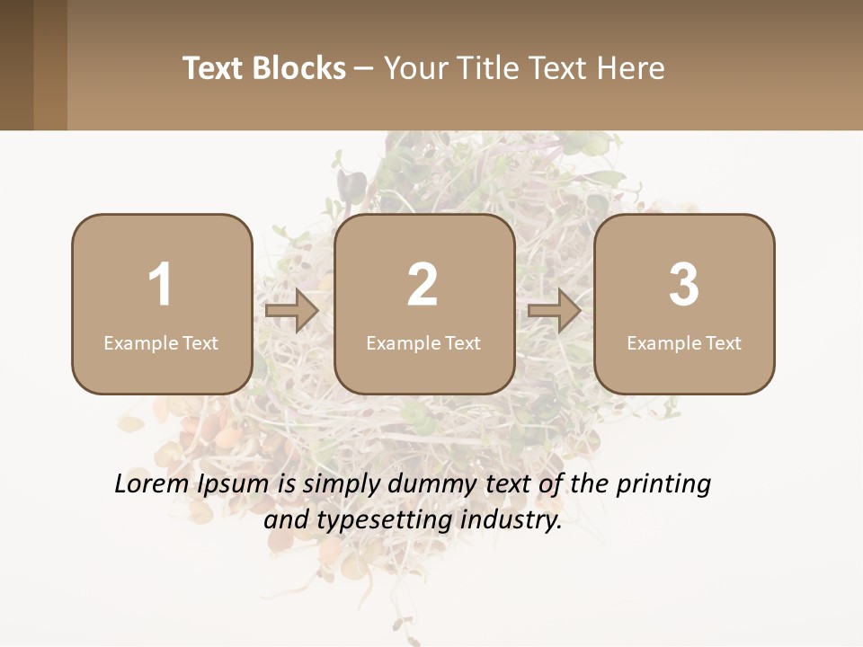 A Pile Of Alfalfa Sprouts On A White Background PowerPoint Template