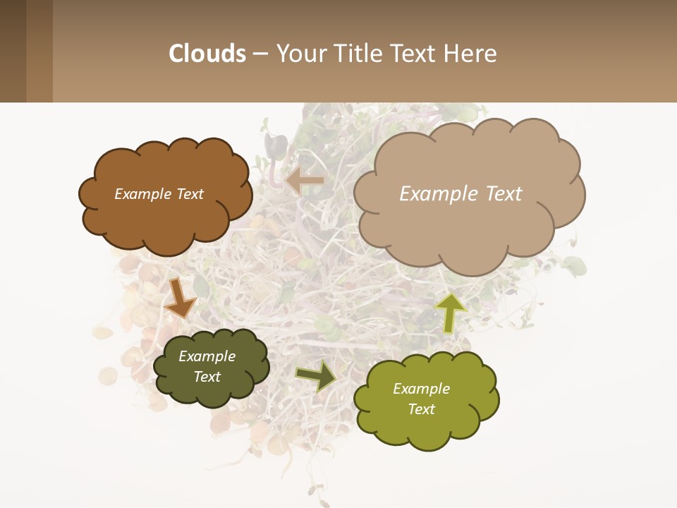 A Pile Of Alfalfa Sprouts On A White Background PowerPoint Template